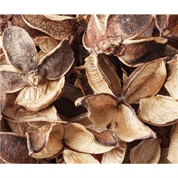 Dried Seedless Cotton Pods 50g_2